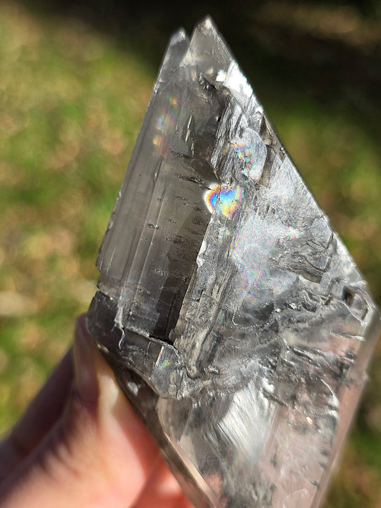 Gypse de Sinard n°4