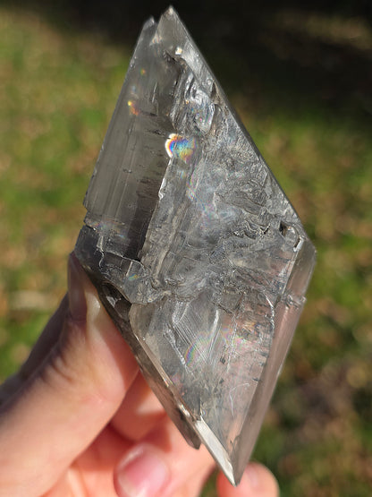 Gypse de Sinard n°4