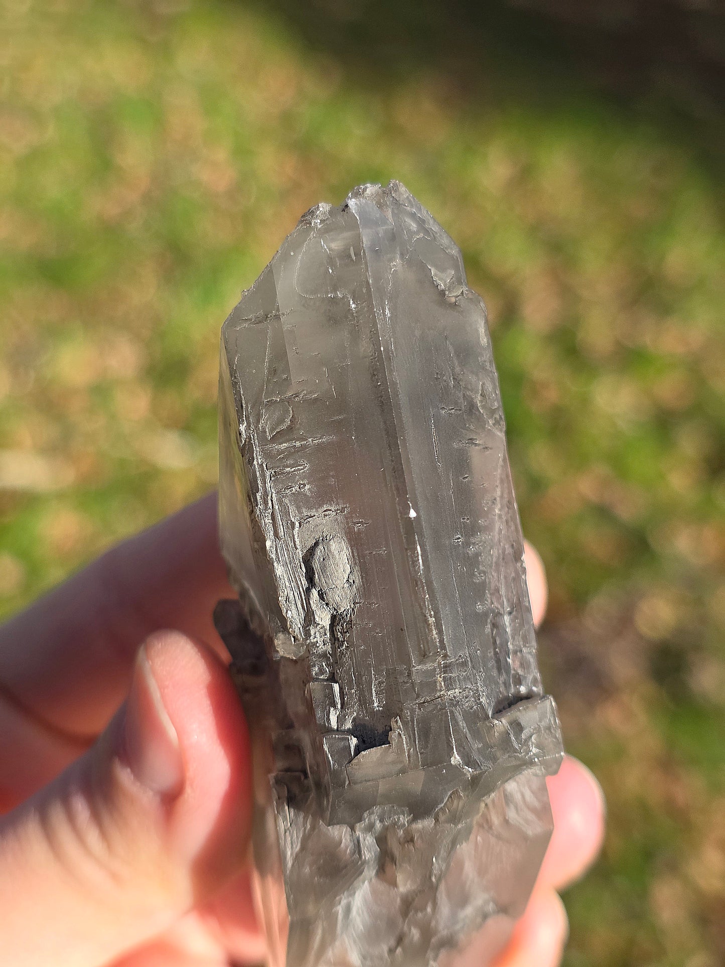 Gypse de Sinard n°4