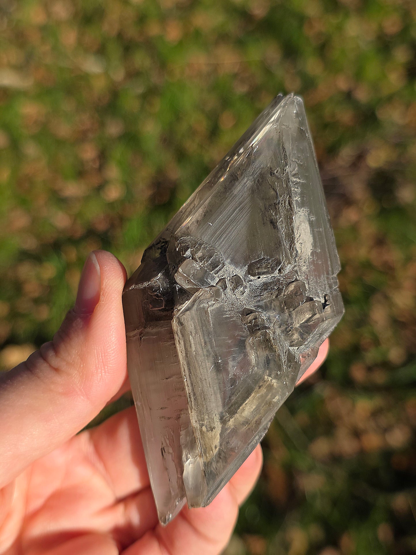 Gypse de Sinard n°4