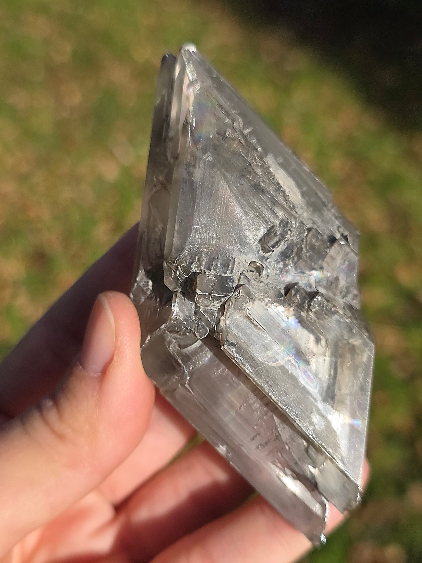 Gypse de Sinard n°4