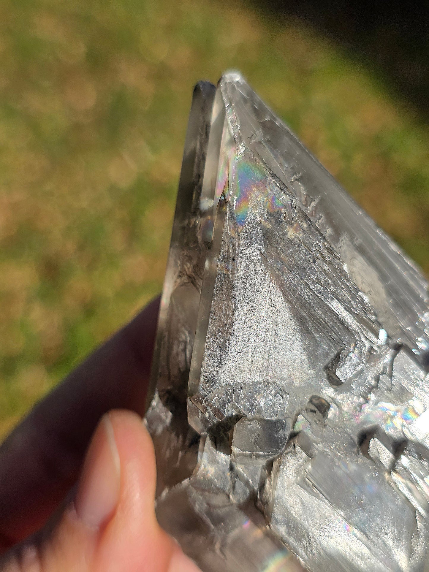 Gypse de Sinard n°4