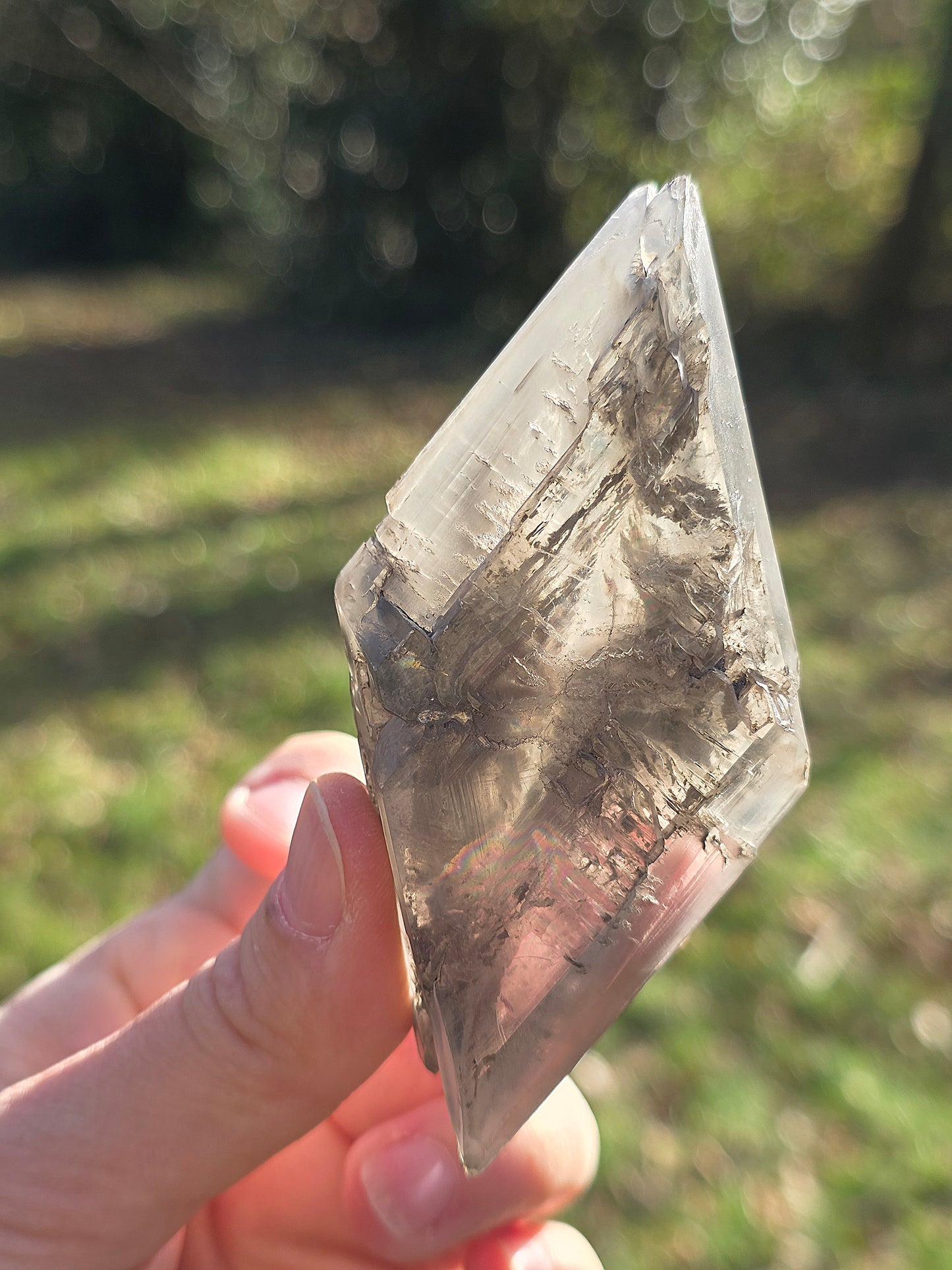 Gypse de Sinard n°4