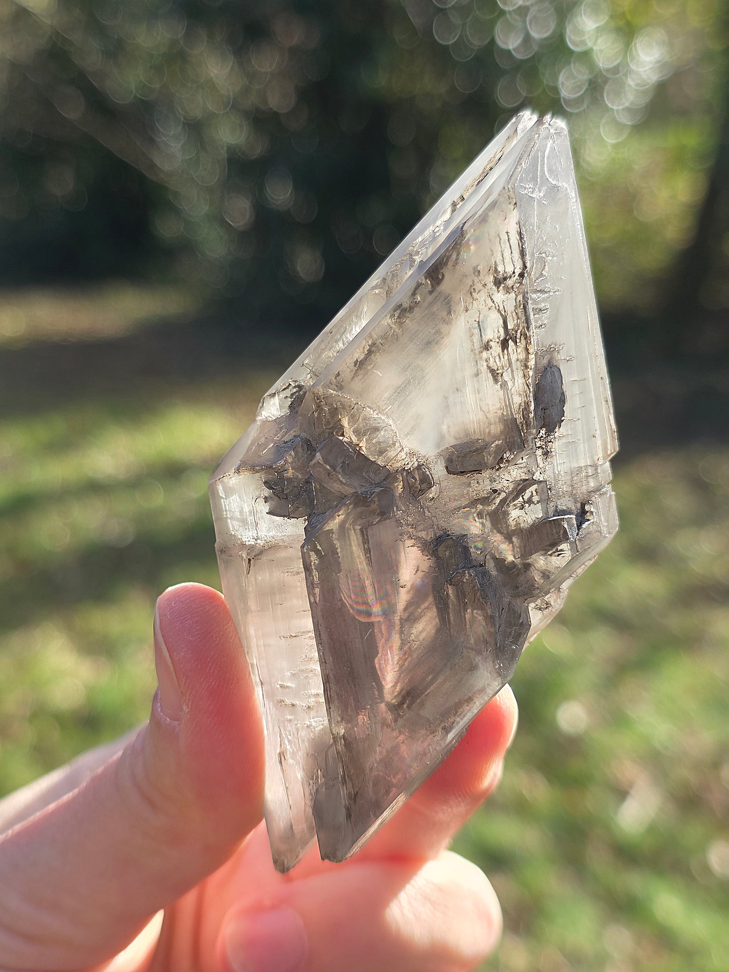 Gypse de Sinard n°4