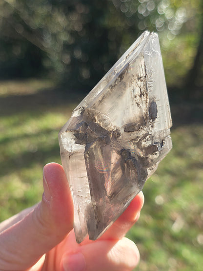 Gypse de Sinard n°4