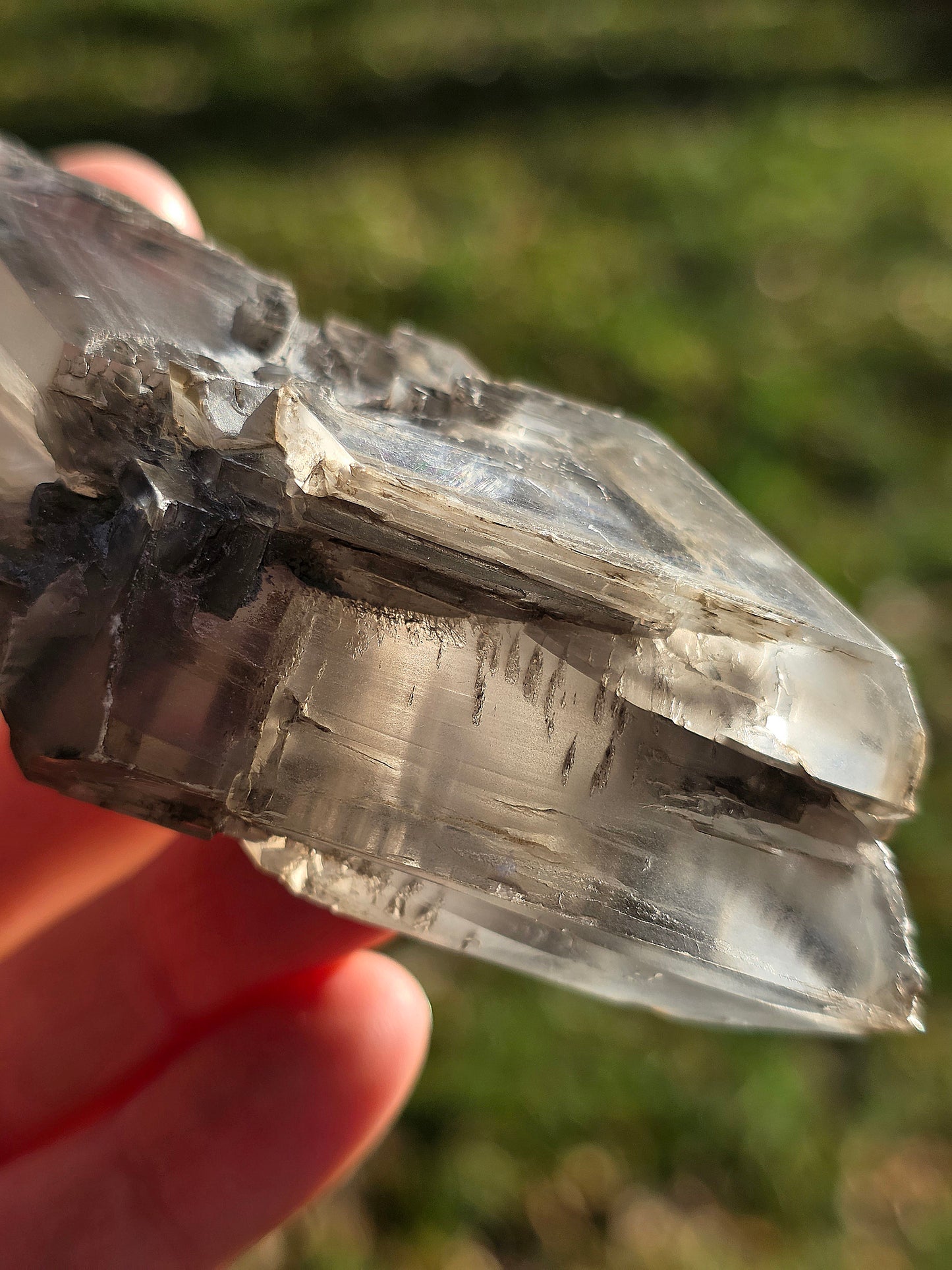 Gypse de Sinard n°4