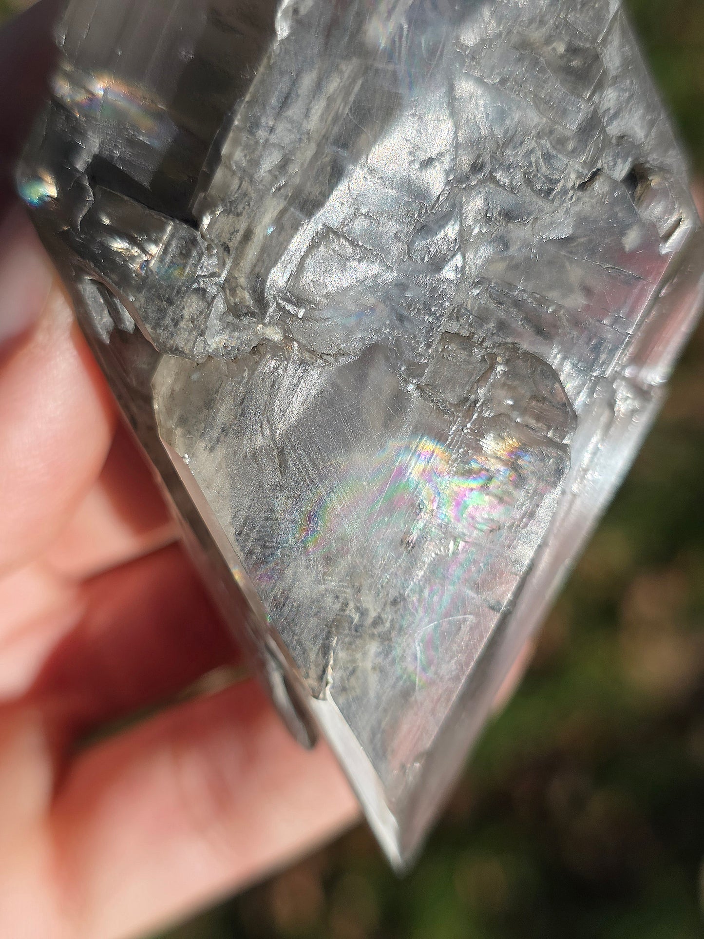 Gypse de Sinard n°4