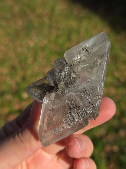 Gypse de Sinard n°5