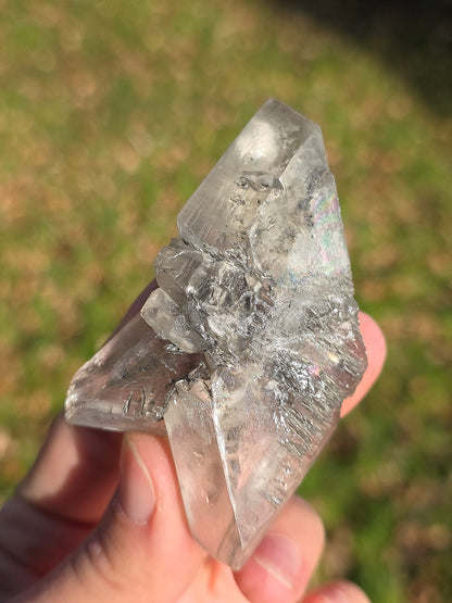 Gypse de Sinard n°5