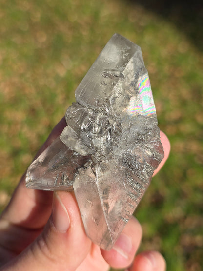 Gypse de Sinard n°5