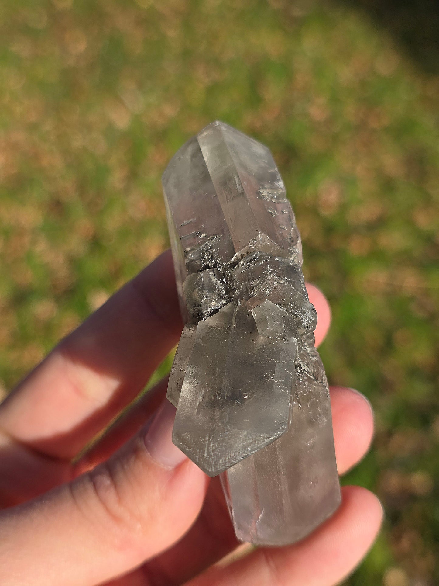 Gypse de Sinard n°5