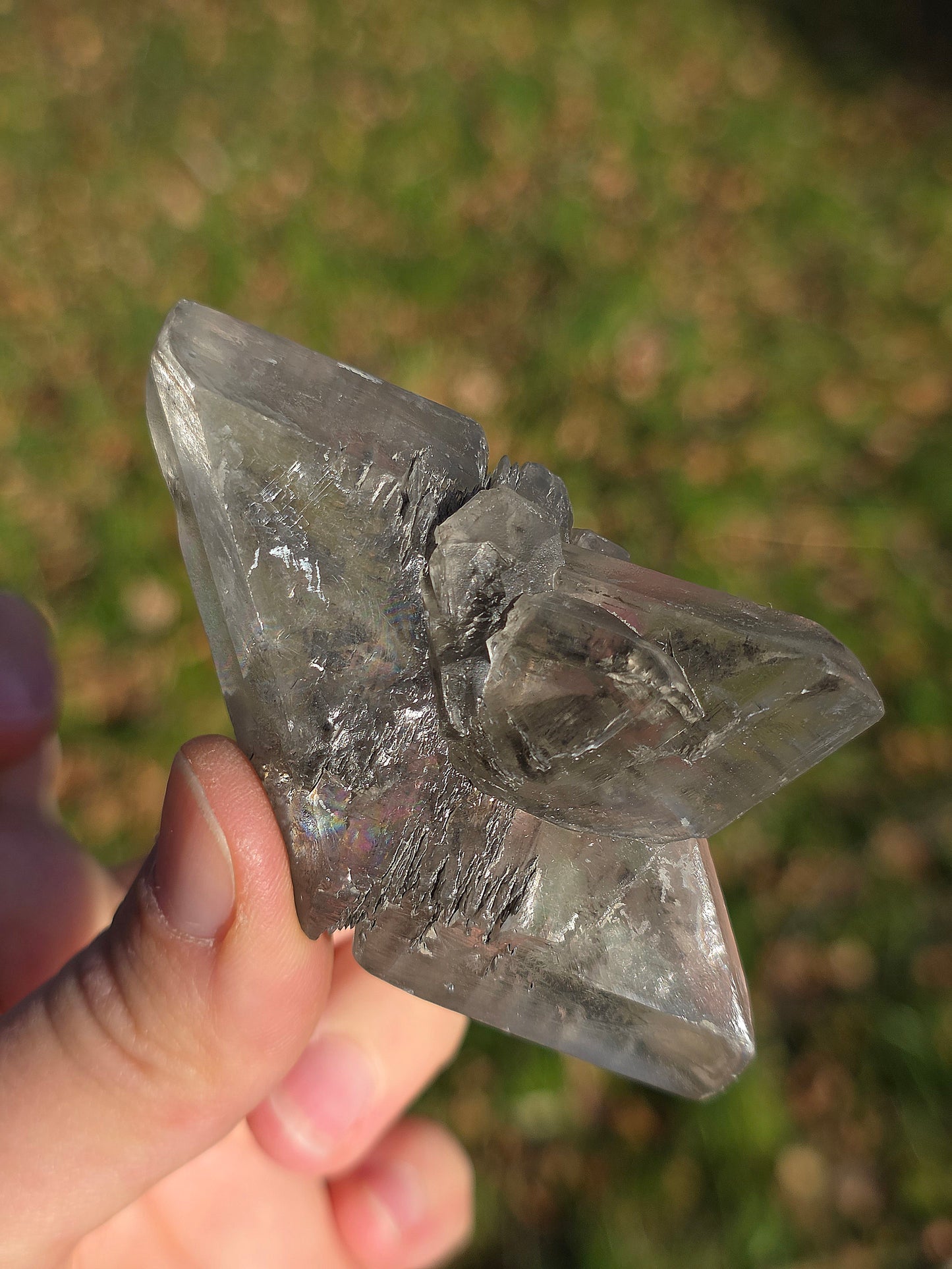 Gypse de Sinard n°5