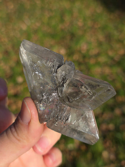 Gypse de Sinard n°5