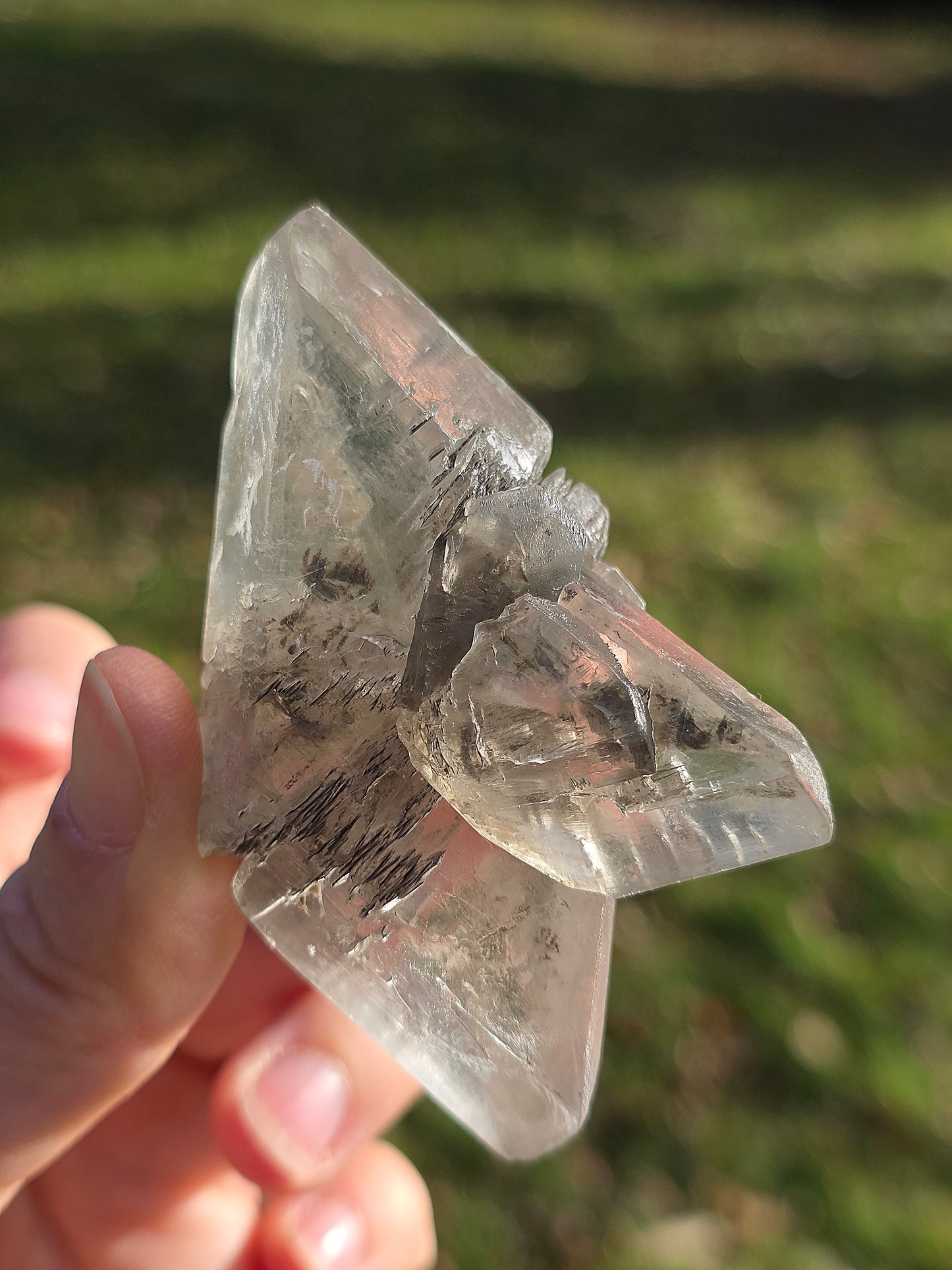 Gypse de Sinard n°5