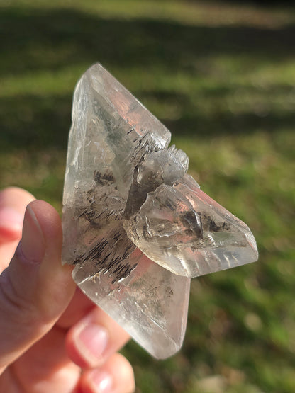 Gypse de Sinard n°5