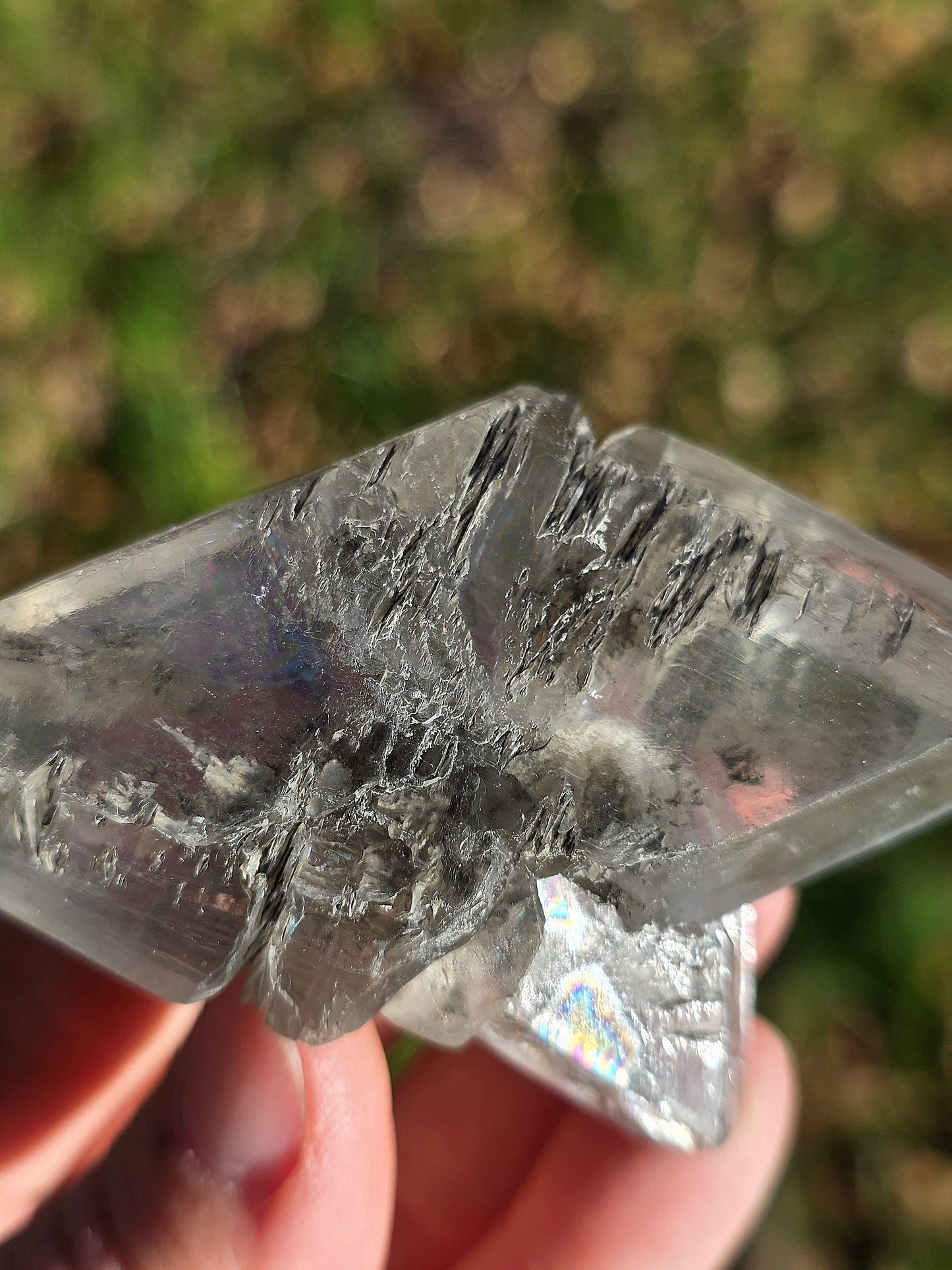 Gypse de Sinard n°5