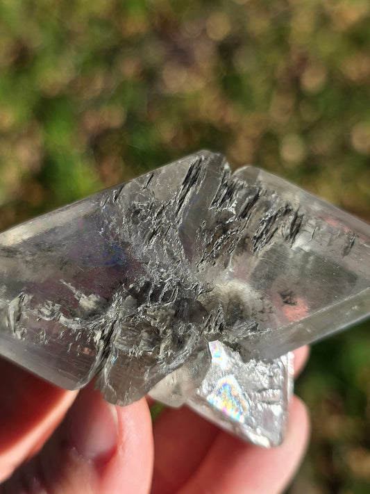 Gypse de Sinard n°5