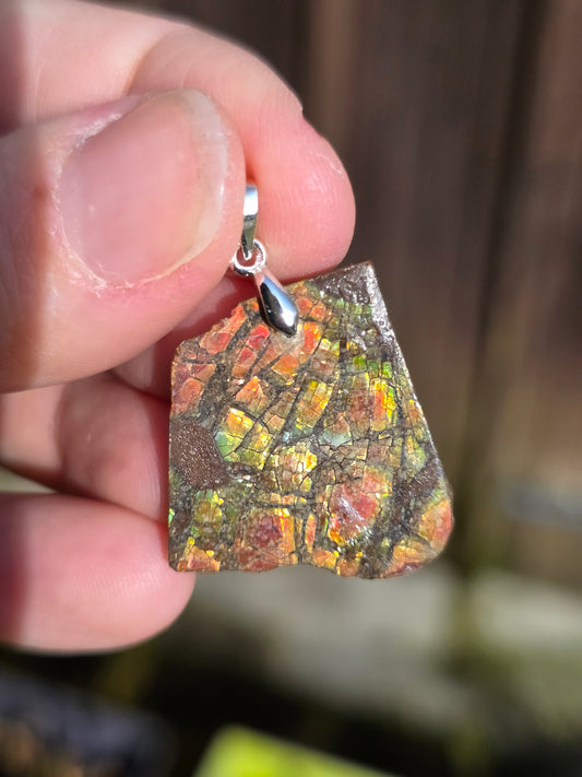 Pendentif en Ammolite A