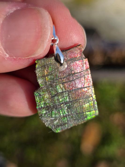 Pendentif en Ammolite brute du Canada