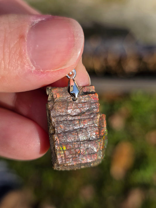 Pendentif en Ammolite B