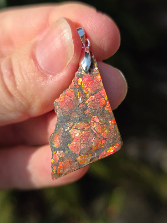 Pendentif en Ammolite C