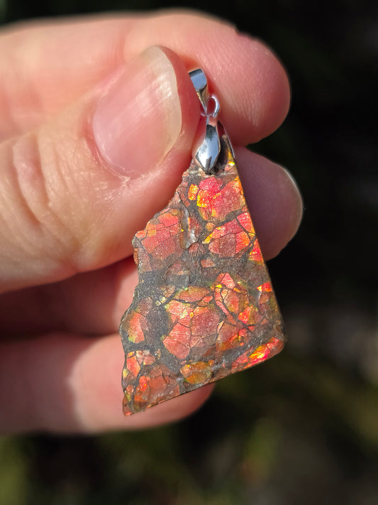 Pendentif en Ammolite brute du Canada