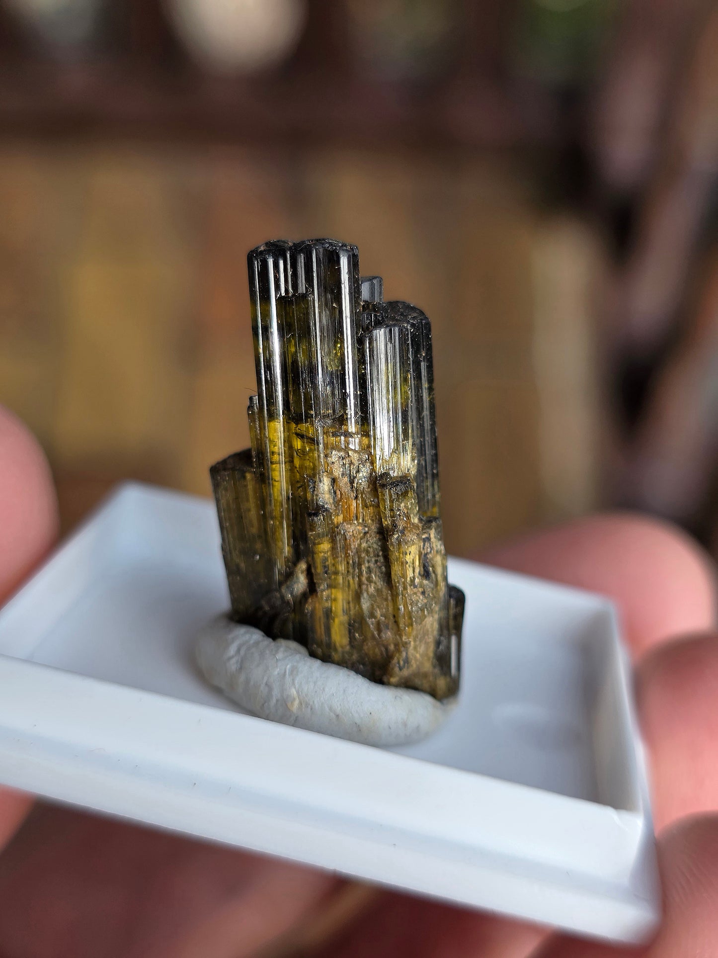 Tourmaline verte de Madagascar