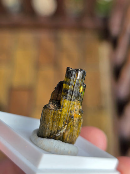 Tourmaline verte de Madagascar