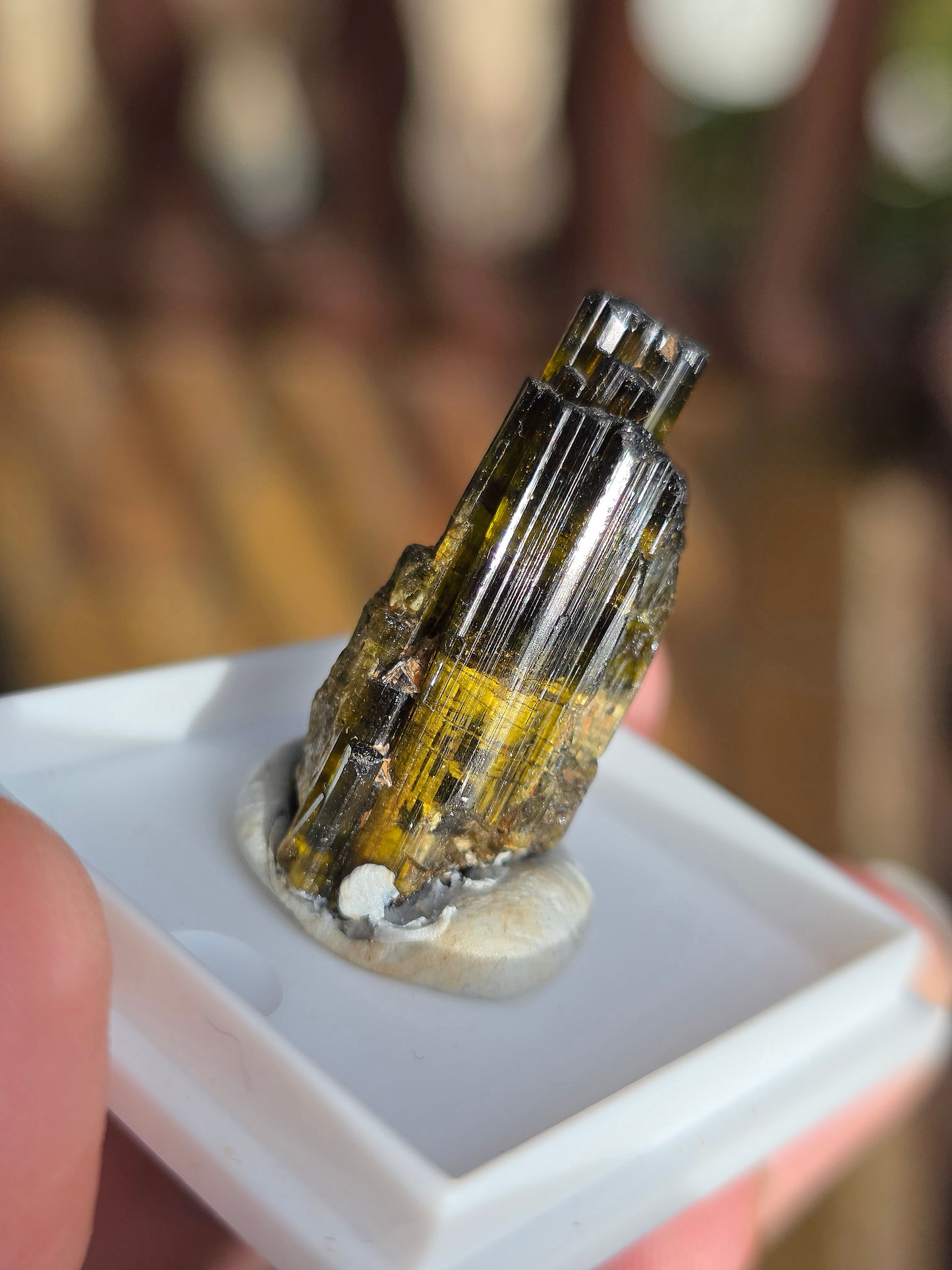 Tourmaline verte de Madagascar