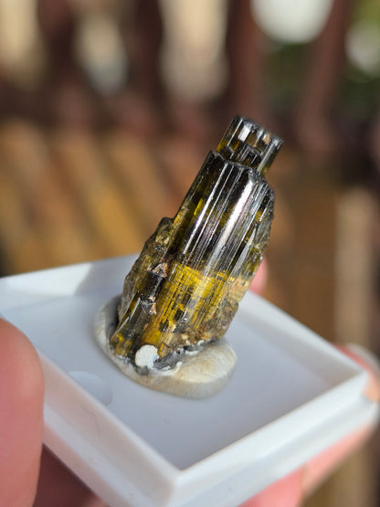 Tourmaline verte de Madagascar