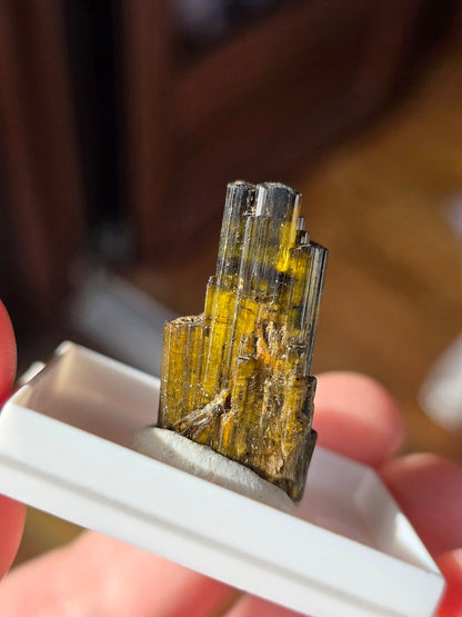 Tourmaline verte de Madagascar