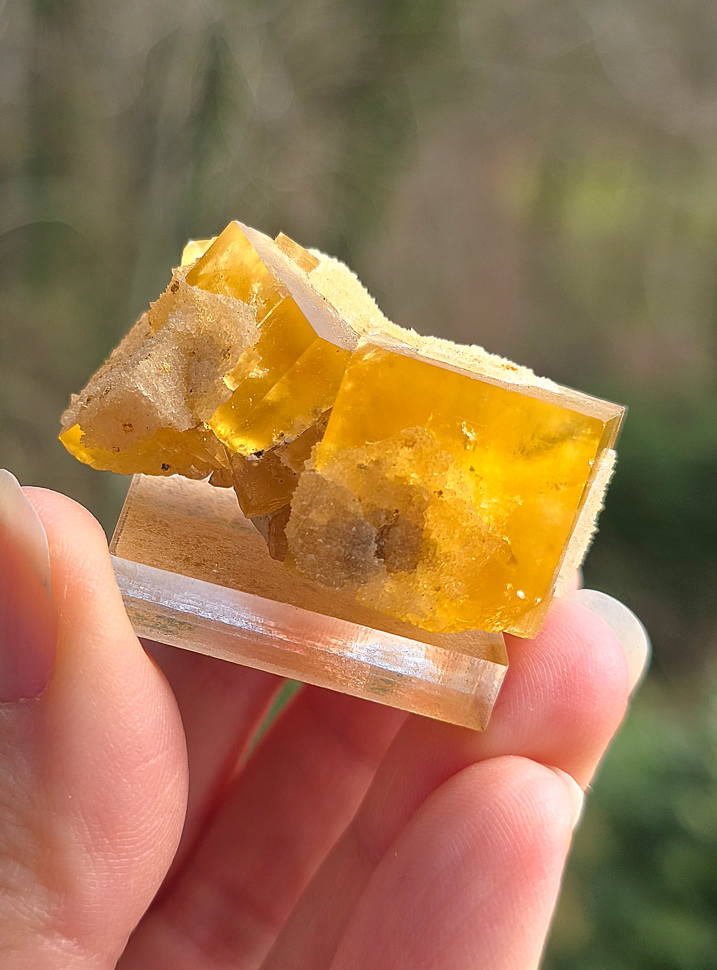 Fluorite jaune du Tarn n°3