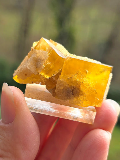 Fluorite jaune du Tarn n°3