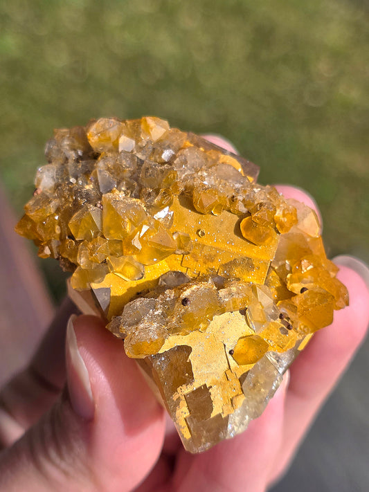 Fluorine jaune de Peyrebrune dans le Tarn aux cristaux cubiques