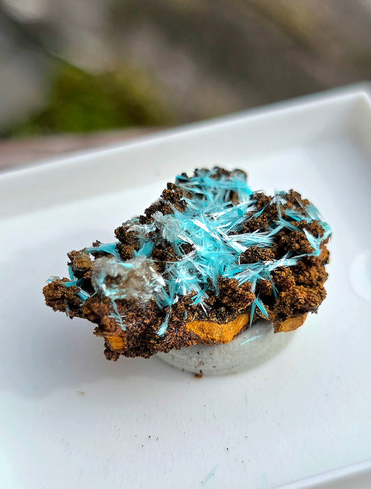 Aurichalcite du Congo