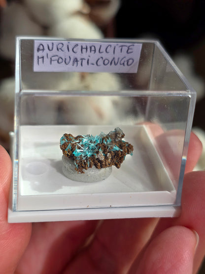 Aurichalcite du Congo