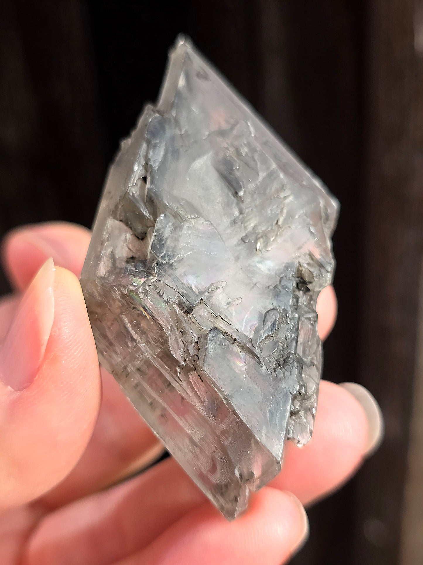 gypse flottant de sinard - France - Isère