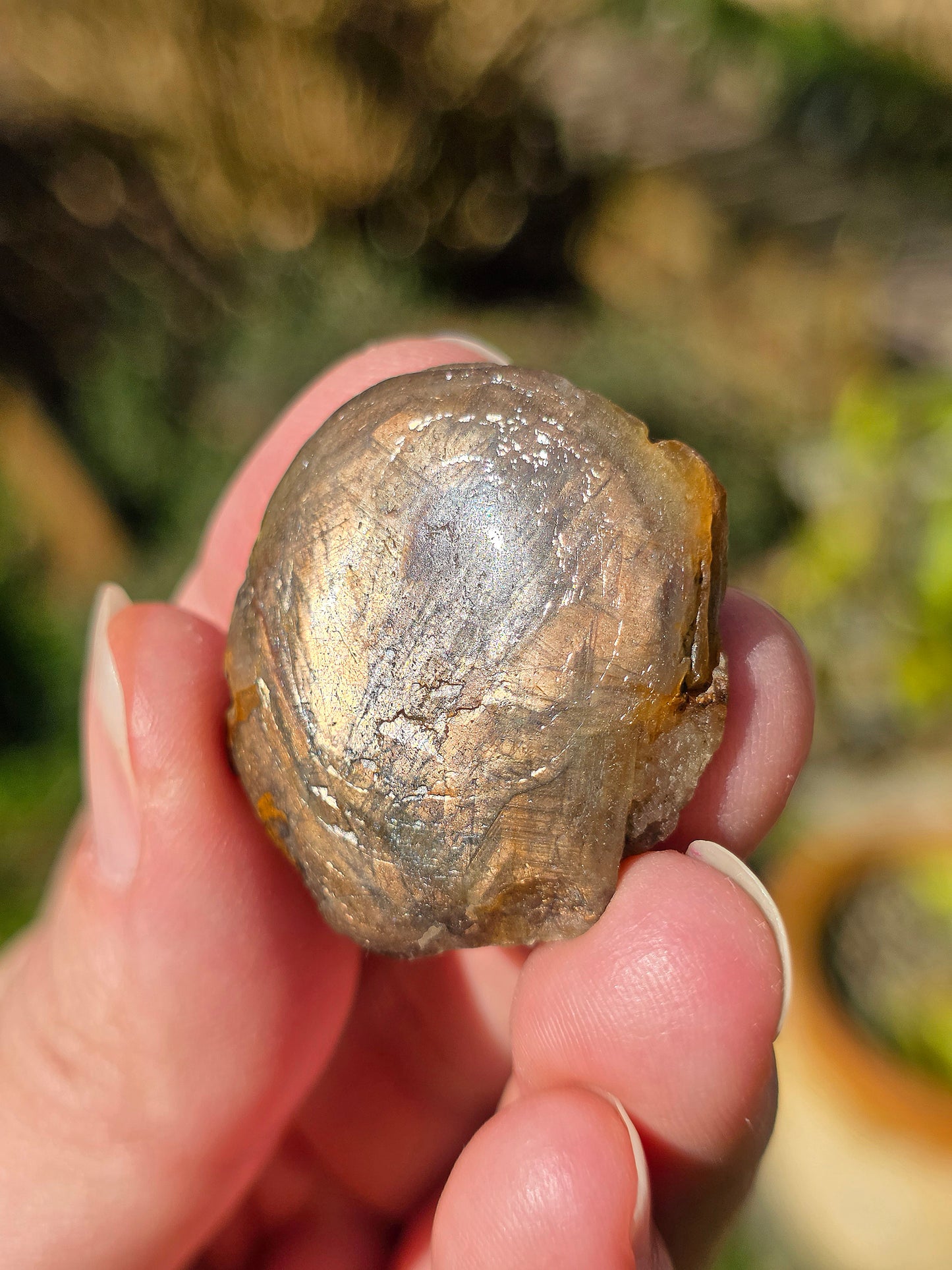 Saphir doré de Thaïlande