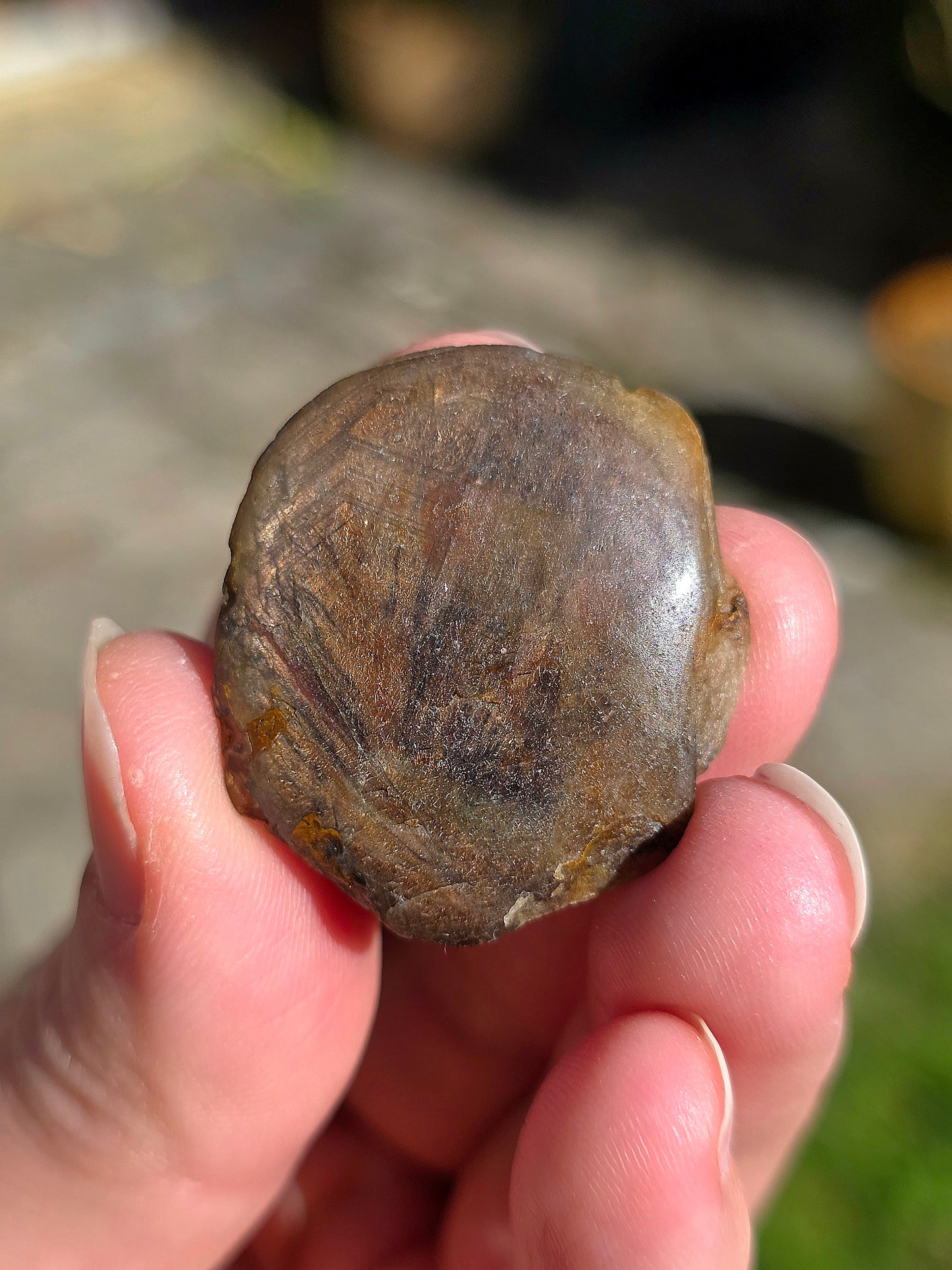 Saphir brun doré de Thaïlande