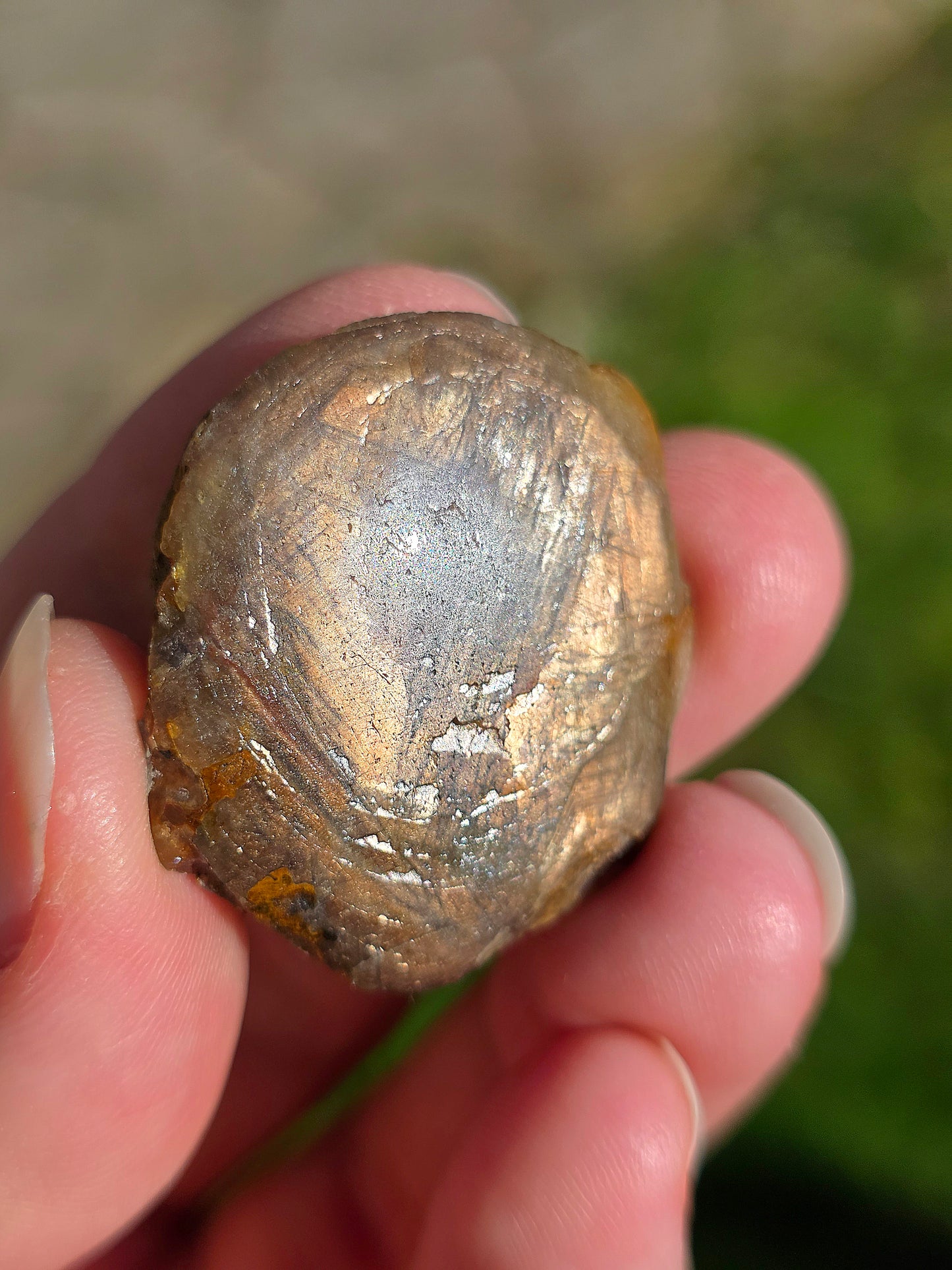 Saphir doré de Thaïlande