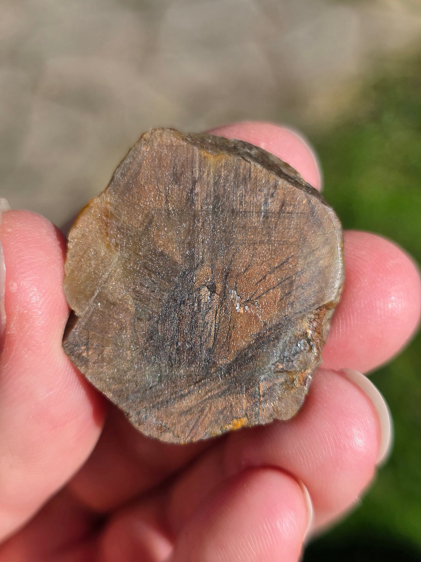 Saphir brun doré de Thaïlande n°1