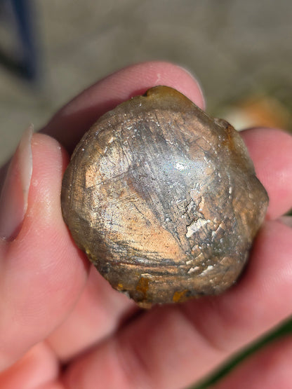 Saphir doré de Thaïlande