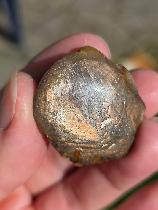 Saphir doré de Thaïlande