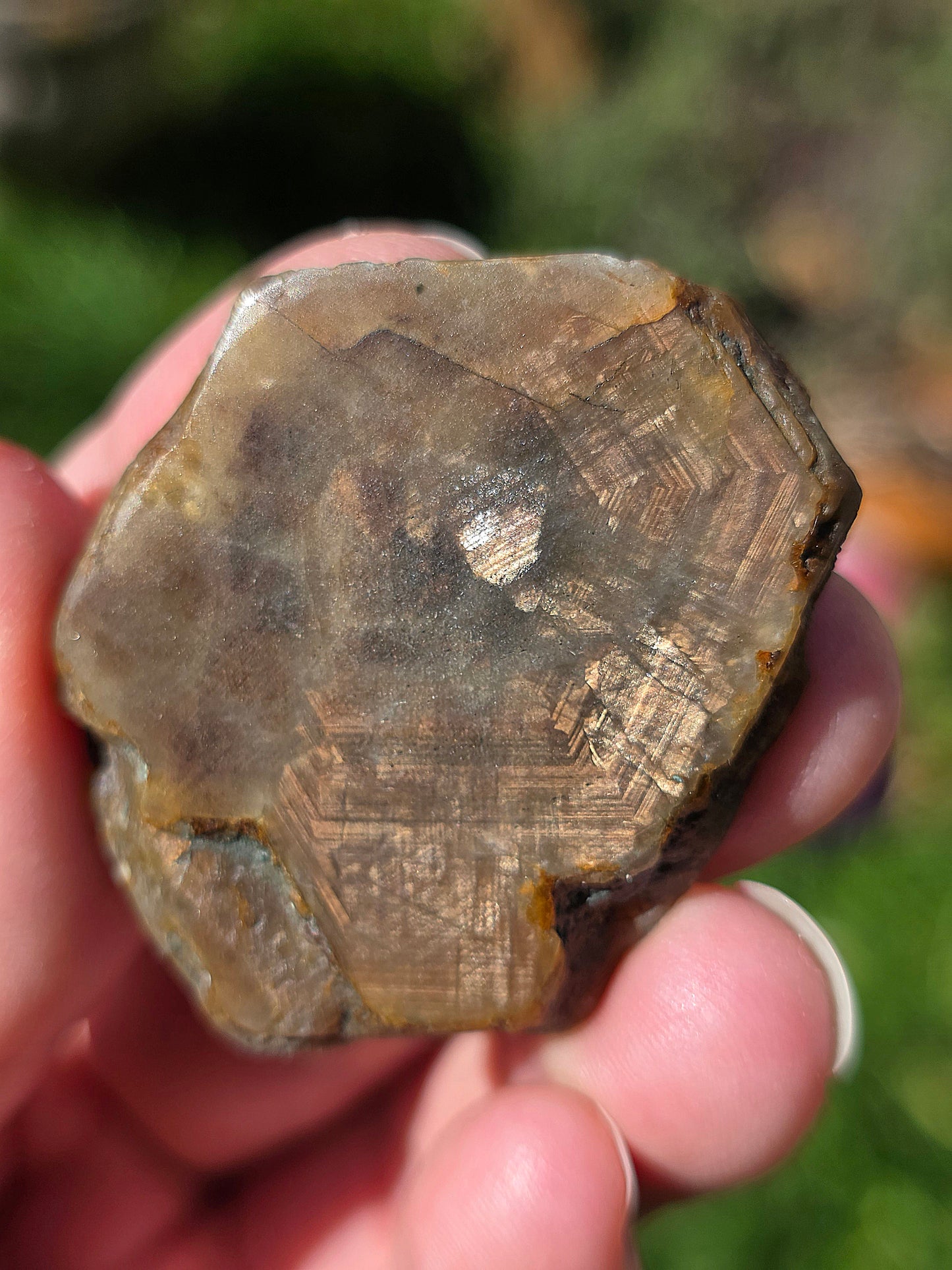 Saphir brun doré de Thaïlande n°2