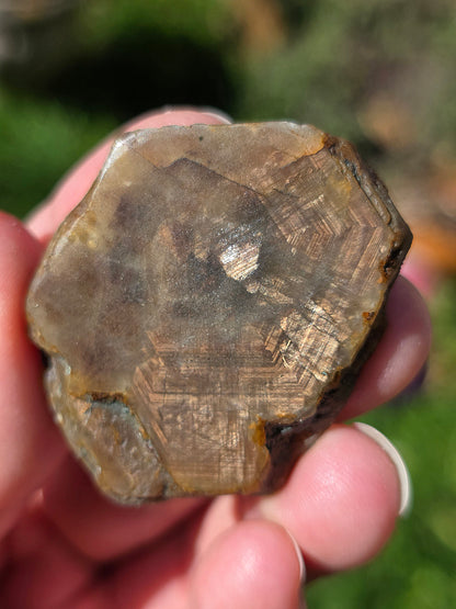 Saphir brun doré de Thaïlande n°2