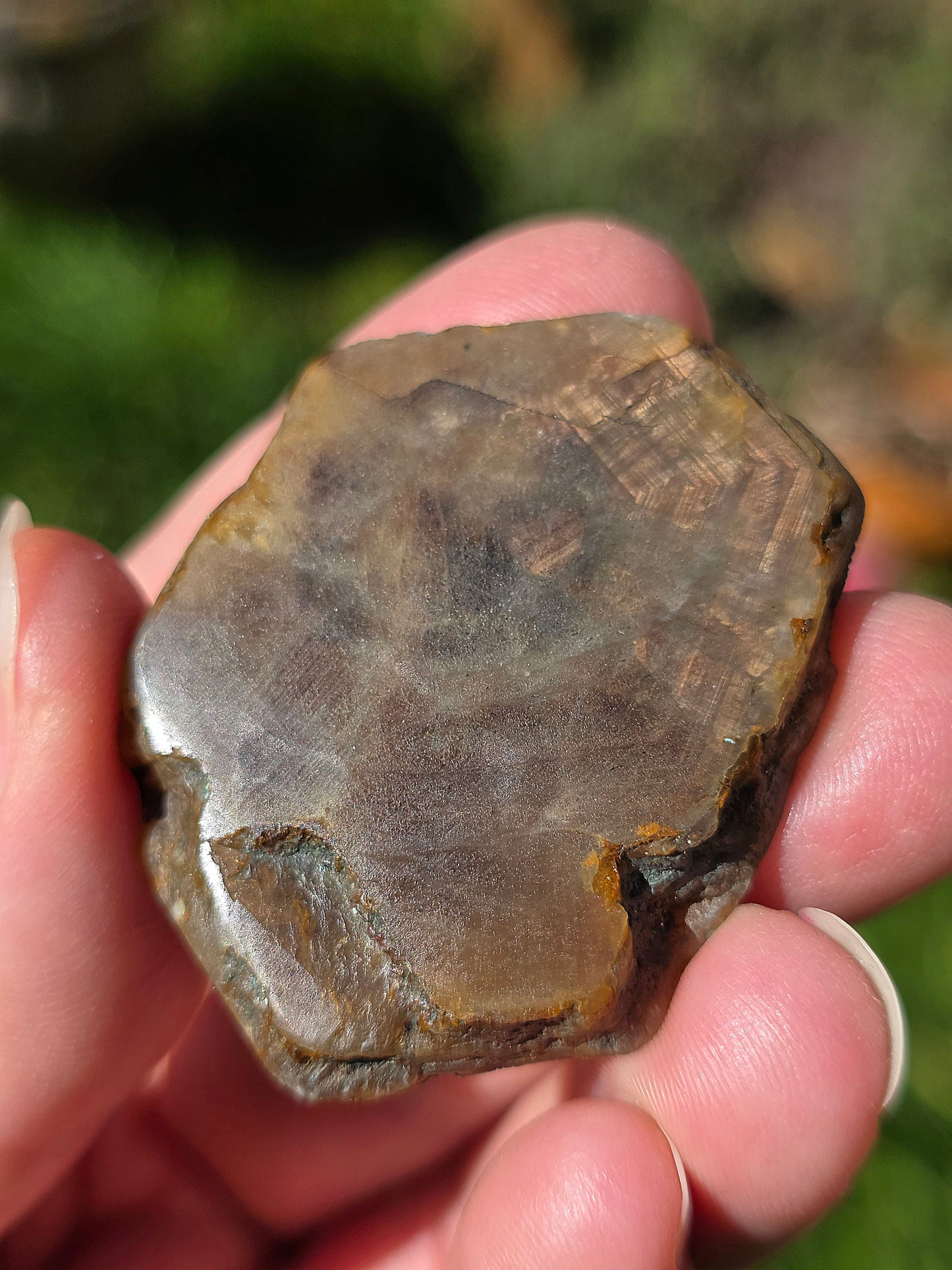 Saphir brun doré de Thaïlande n°2