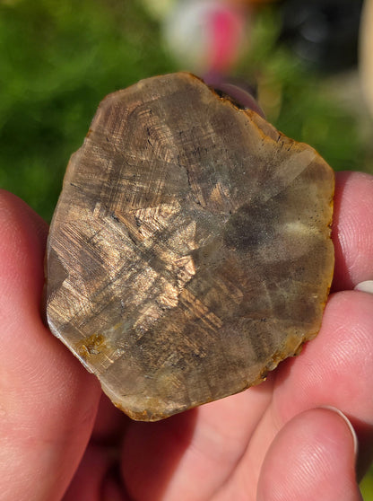 Saphir brun doré de Thaïlande n°2