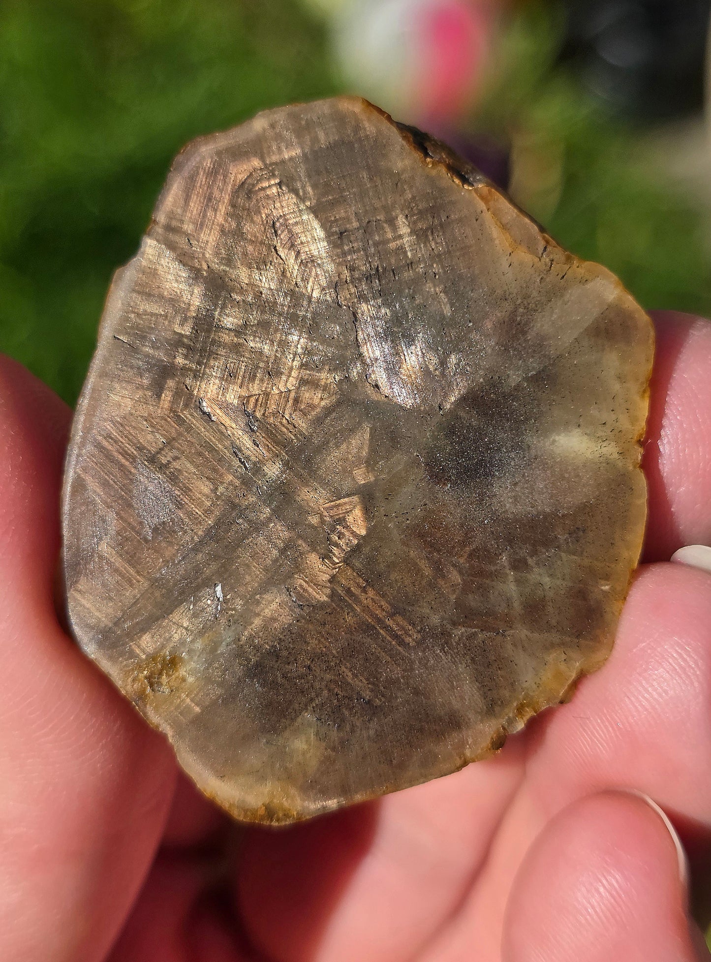 Saphir brun doré de Thaïlande n°2