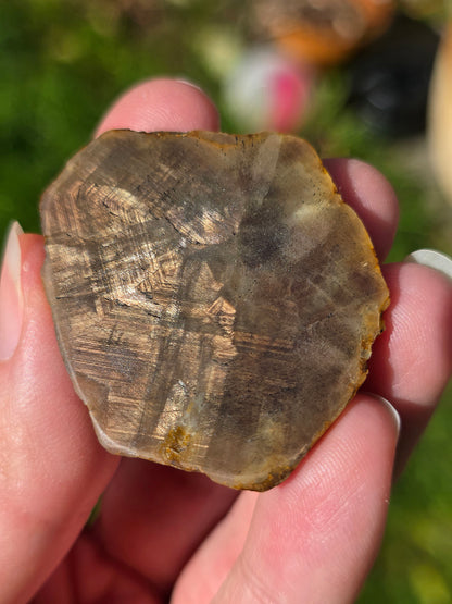 Saphir brun doré de Thaïlande n°2