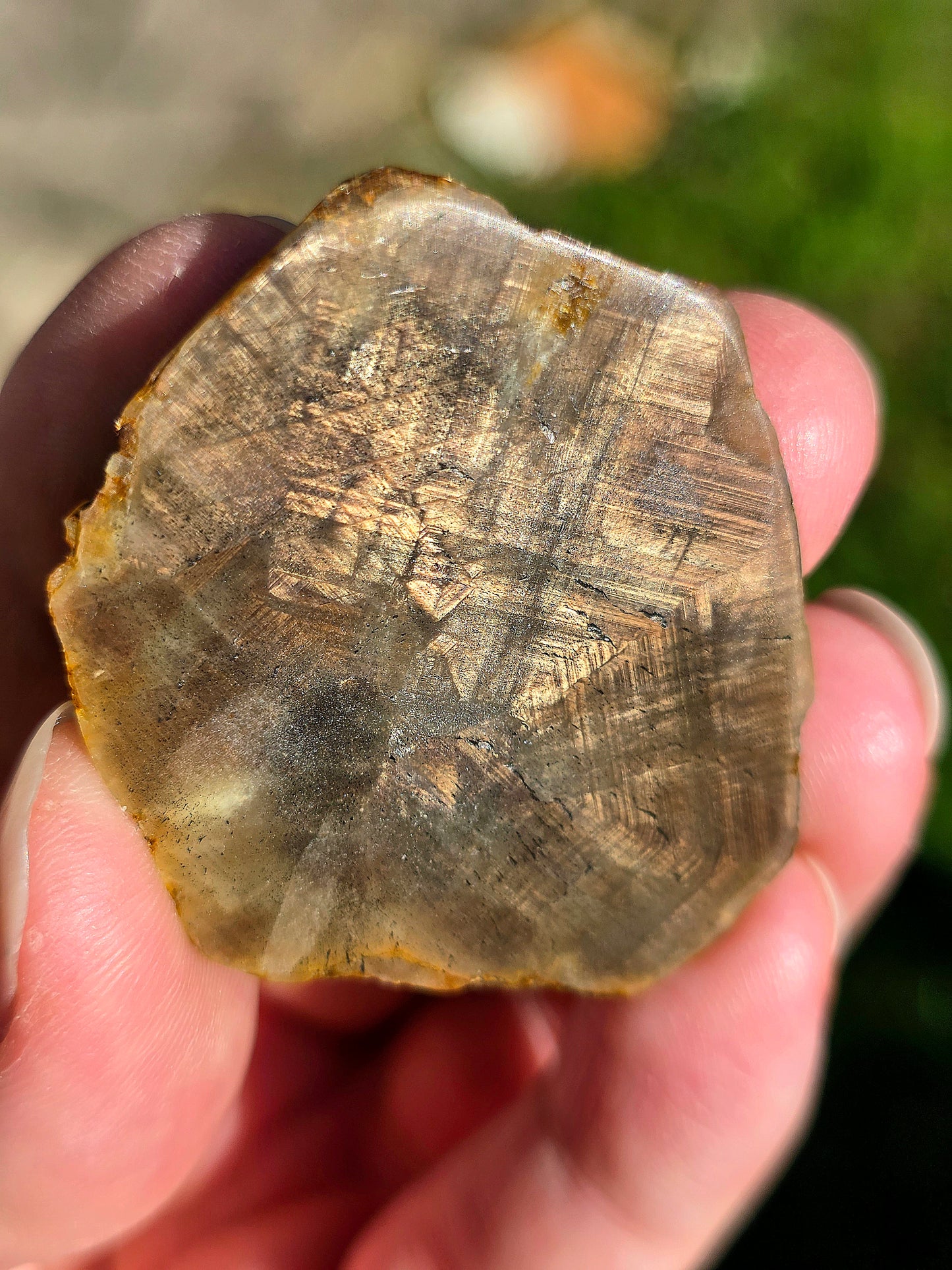 Saphir brun doré de Thaïlande